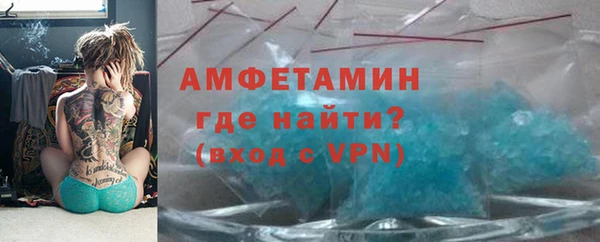 индика Богданович
