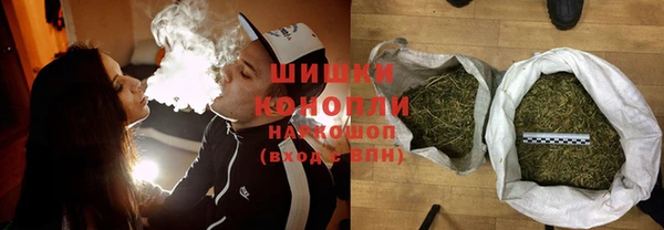 ПСИЛОЦИБИНОВЫЕ ГРИБЫ Бородино