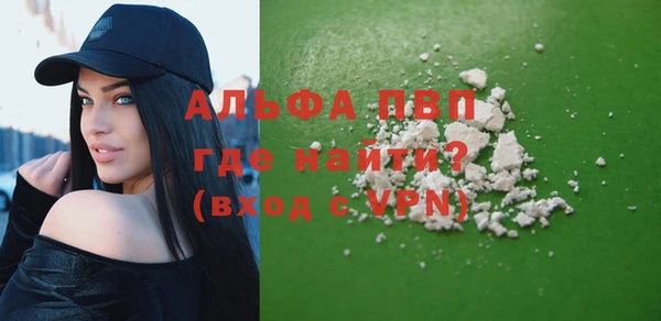 индика Богданович