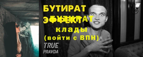 индика Богданович