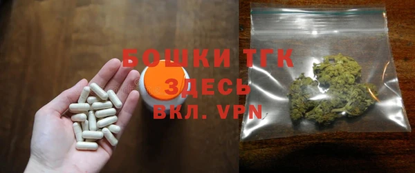 индика Богданович