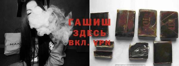 индика Богданович