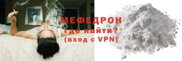 индика Богданович