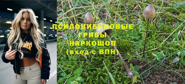 индика Богданович