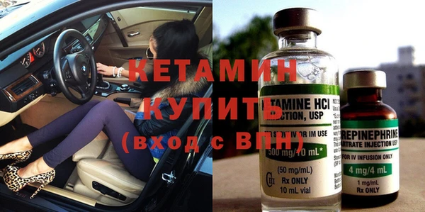 индика Богданович