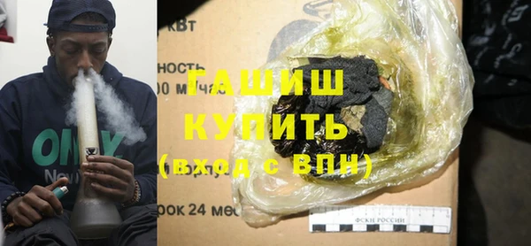 индика Богданович