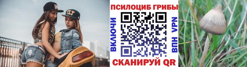 Галлюциногенные грибы Magic Shrooms Купить Малоархангельск